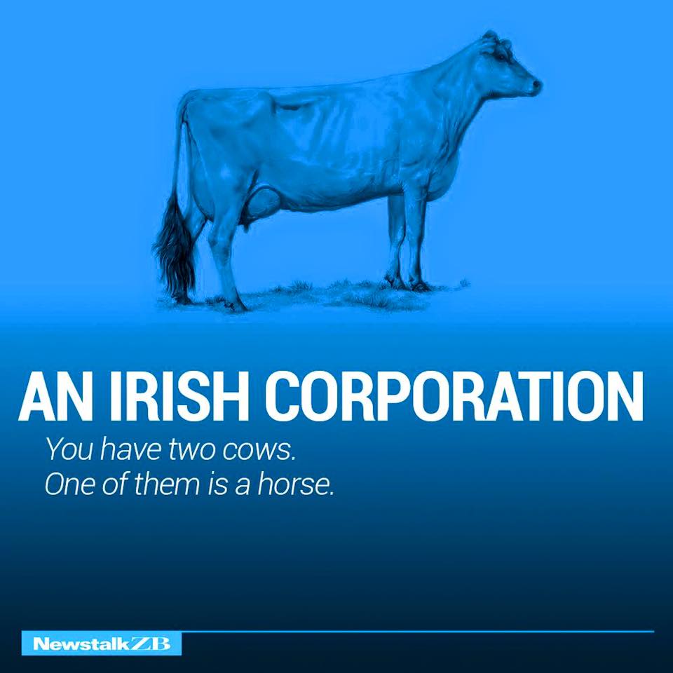 Image may contain: text that says AN IRISH CORPORATION You have two COWs. One of them is a horse. NewstalkZB