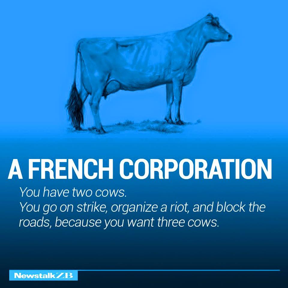 Image may contain: text that says A FRENCH CORPORATION You have two cows. You go on strike, organize a riot, and block the roads, because you want three cOws. NewstalkZB
