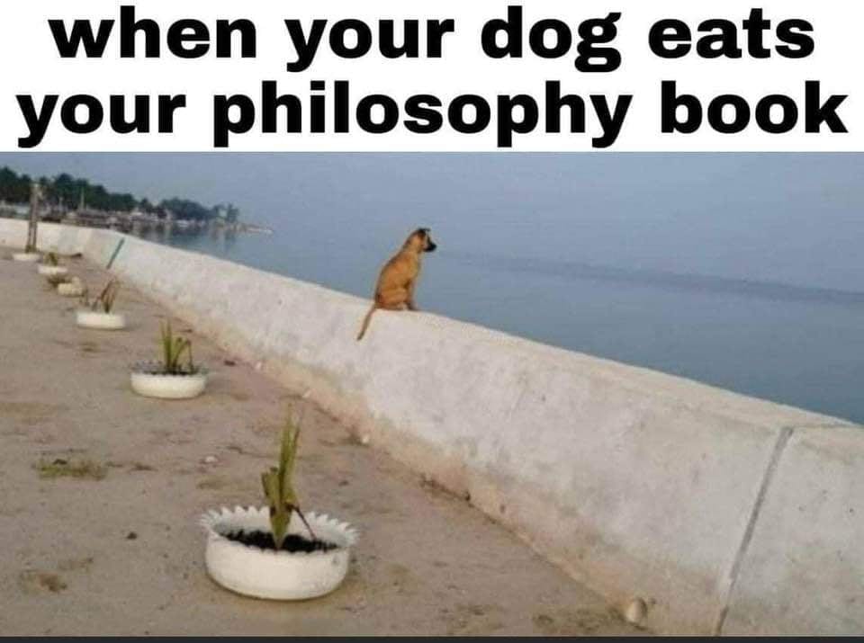 Η εικόνα ίσως περιέχει: κείμενο που λέει when your dog eats your philosophy book