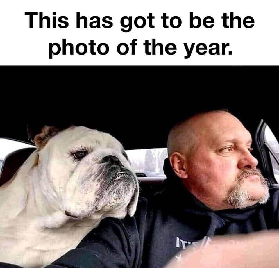 Μπορεί να είναι εικόνα 1 άτομο, σκύλος και κείμενο που λέει This has got to be the photo of the year.