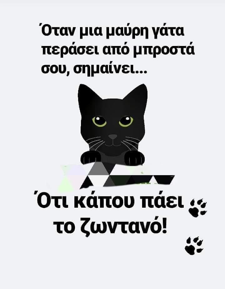 Η εικόνα ίσως περιέχει: πιθανό κείμενο που λέει Όταν μια μαύρη γάτα περάσει από μπροστά σου, σημαίνει... e Ότι κάπου πάει το ζωντανό!