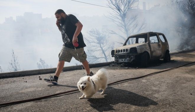 Κάτοικος της Βούλας απομακρύνεται από τη φωτιά με το κατοικίδιό του